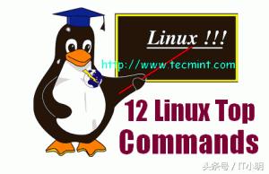 Linux中的12个TOP命令示例