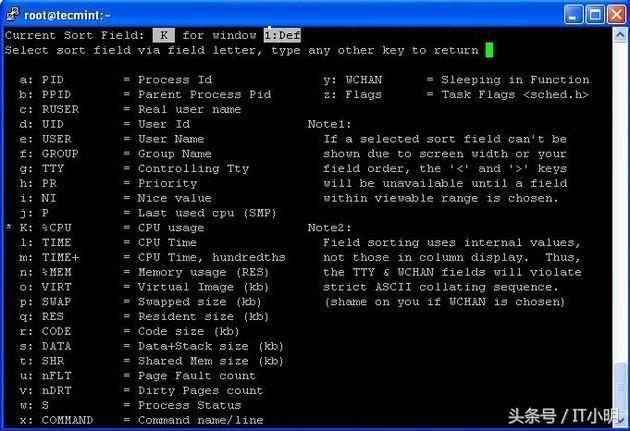 Linux中的12个TOP命令示例